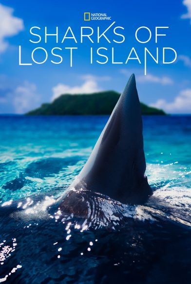 Sharks of Lost Island Fragman