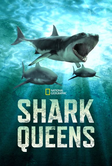 Shark Queens Fragman