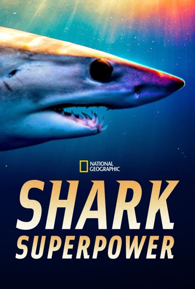 Shark Superpower Fragman