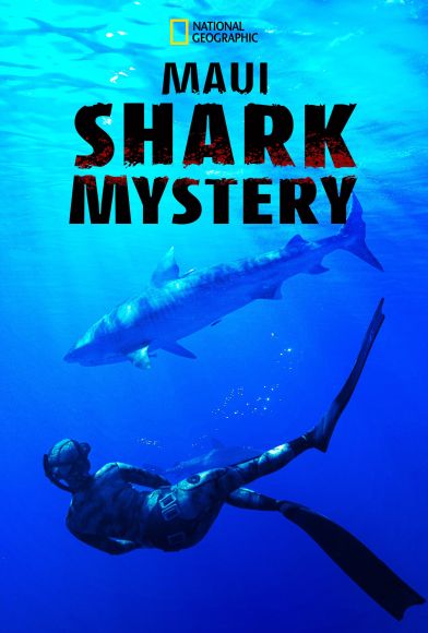 Maui Shark Mystery Fragman