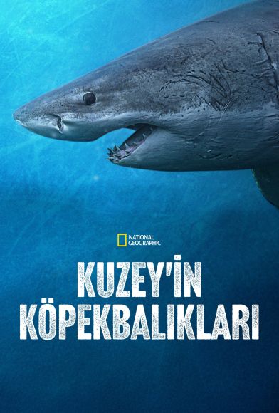 Sharks of the North Fragman