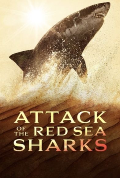 Attack of the Red Sea Sharks Fragman