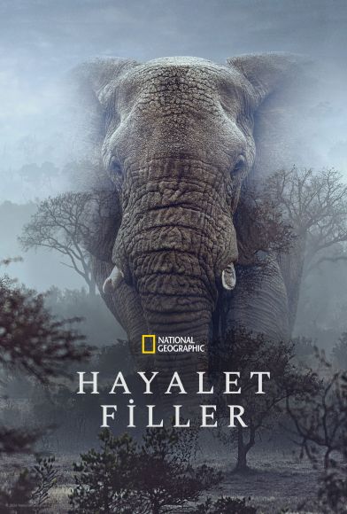 Ghost Elephants Fragman
