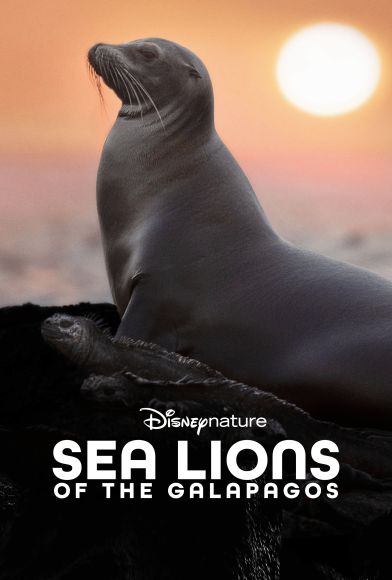 Sea Lions of the Galapagos Fragman