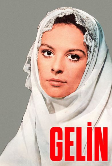 Gelin Fragman