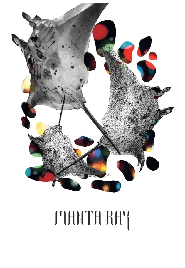 Manta Ray