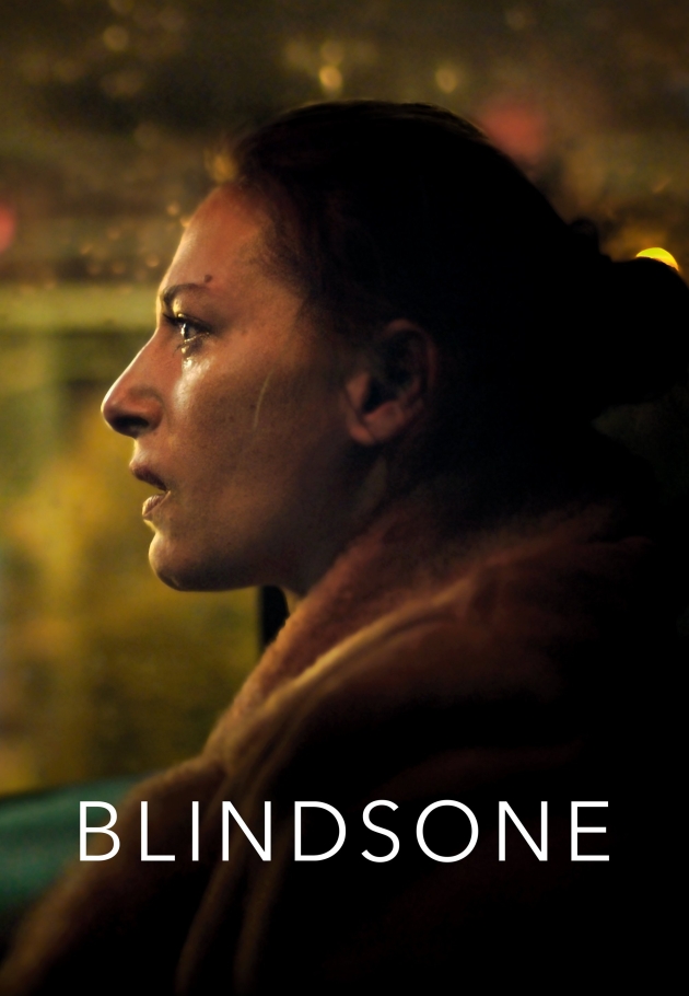 Blind Spot 2018 izle