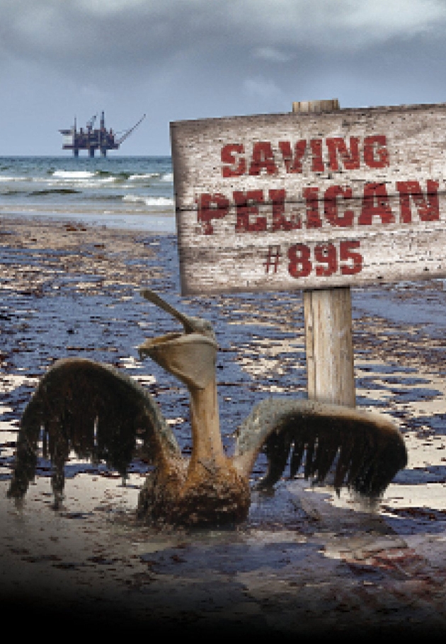 Saving Pelican 895 - 2011 izle