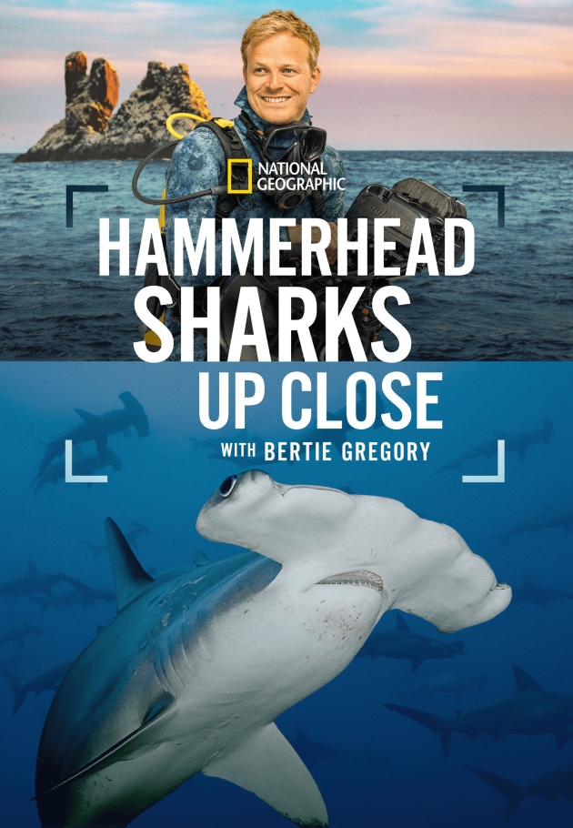 Hammerhead Sharks Up Close with Bertie Gregory - 2026 izle