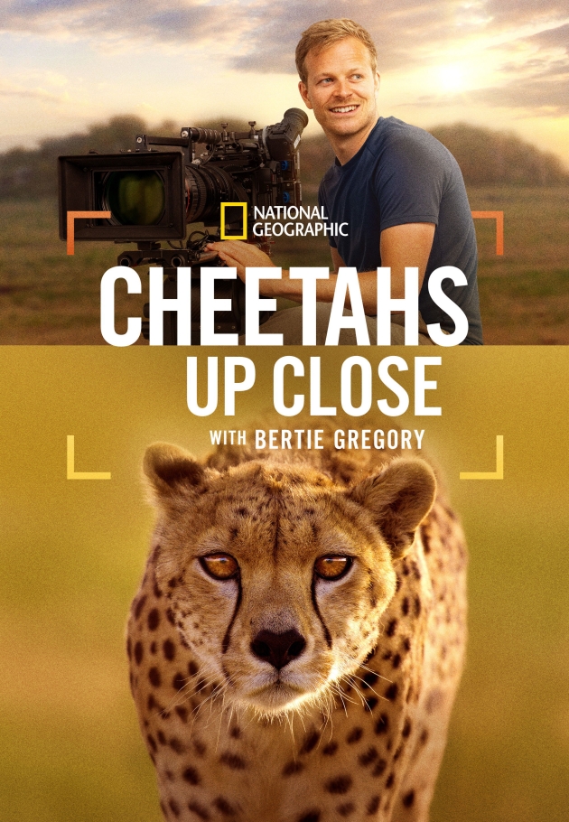 Cheetahs Up Close with Bertie Gregory - 2026 izle