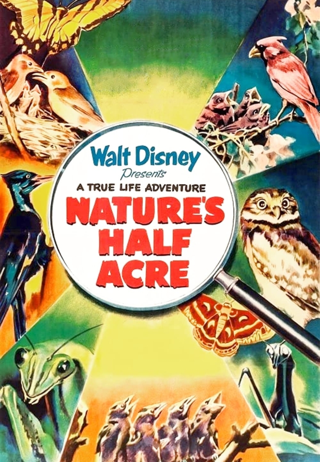 Nature's Half Acre - 1951 izle