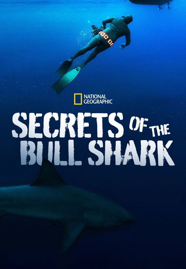Secrets of the Bull Shark