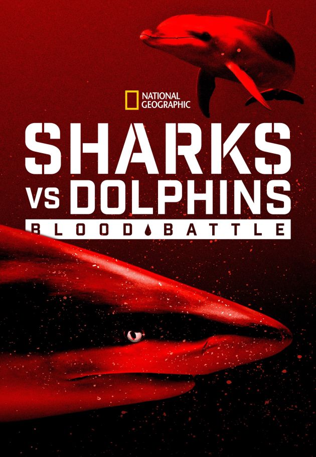 Sharks vs. Dolphins: Blood Battle