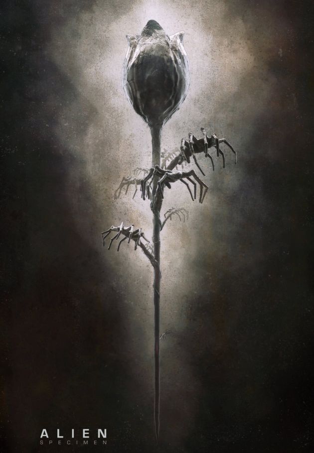 Alien: Specimen