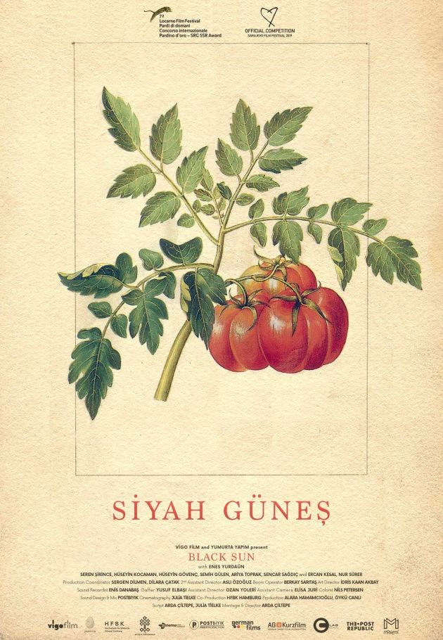 Siyah güneş
