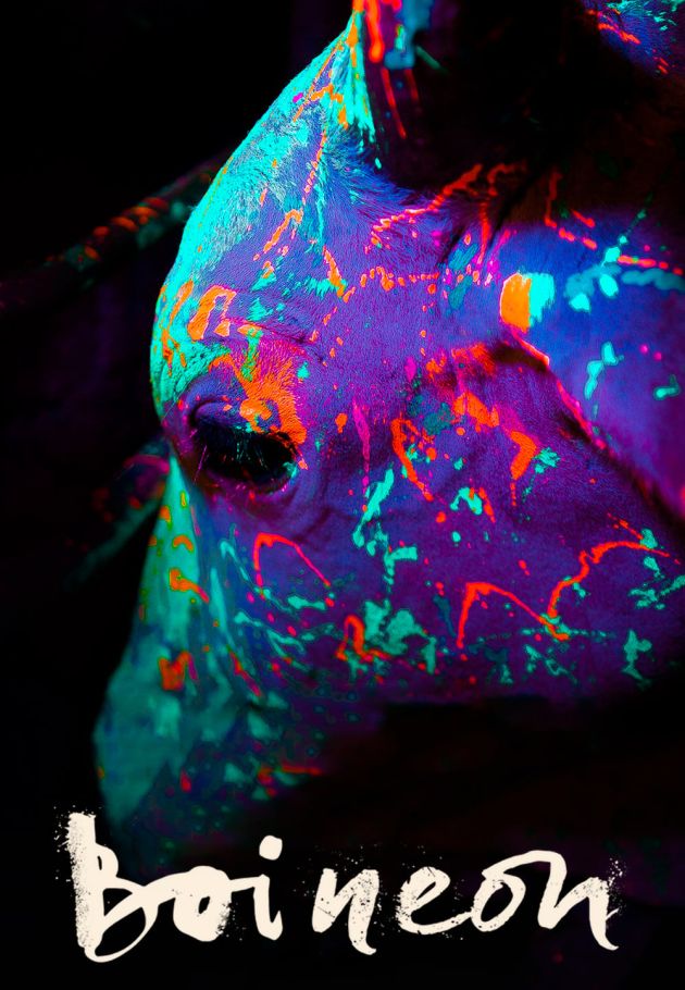 Boi neon