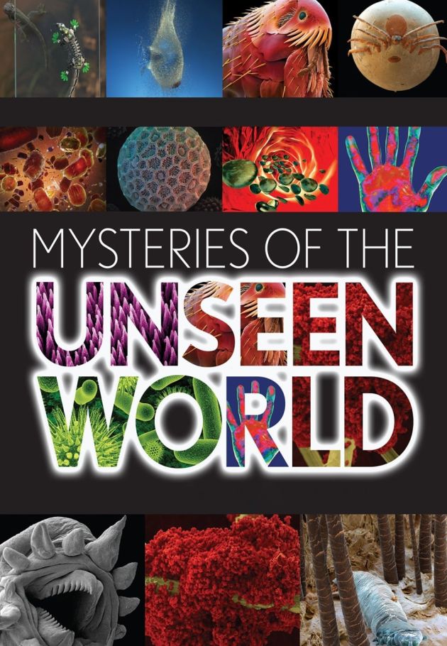 Mysteries of the Unseen World