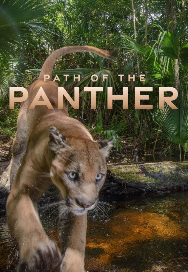 Path of the Panther
