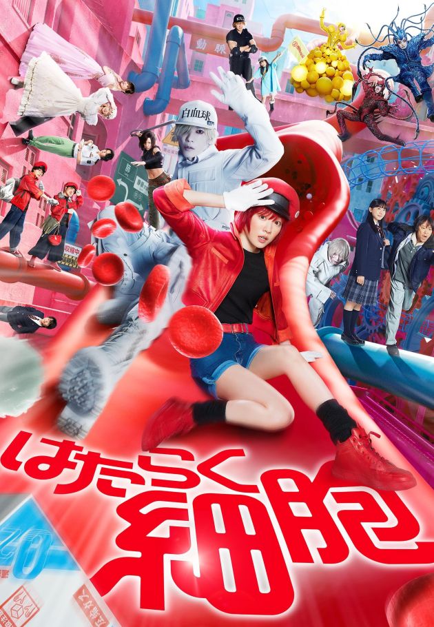 Cells at Work!