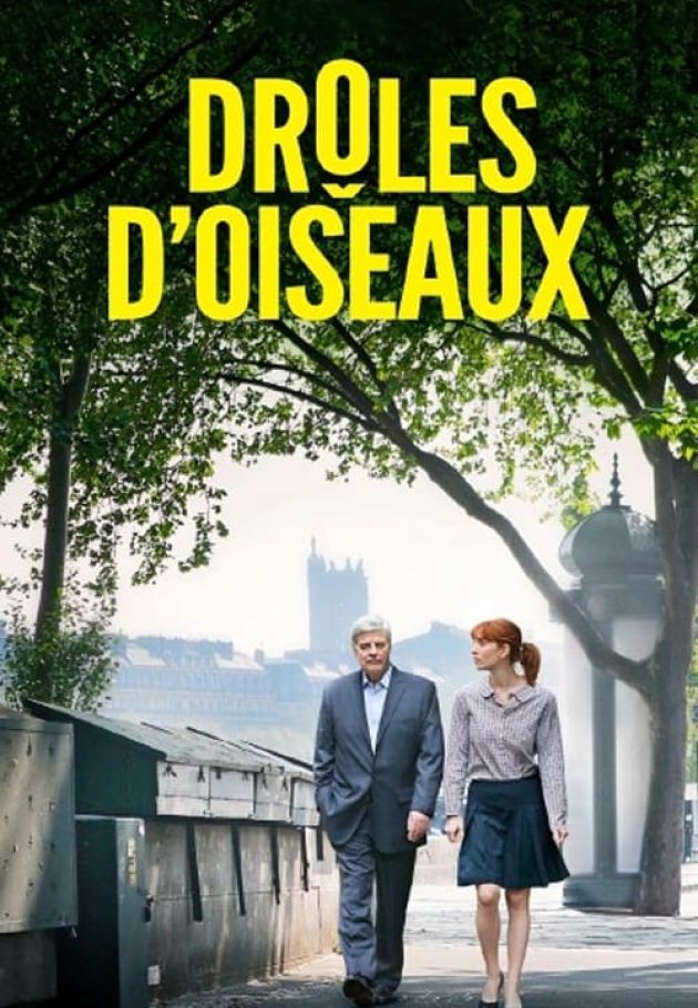 Drôles d'oiseaux