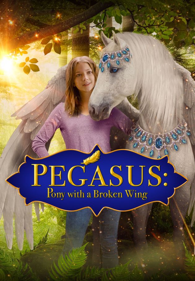Pony with a Broken Wing