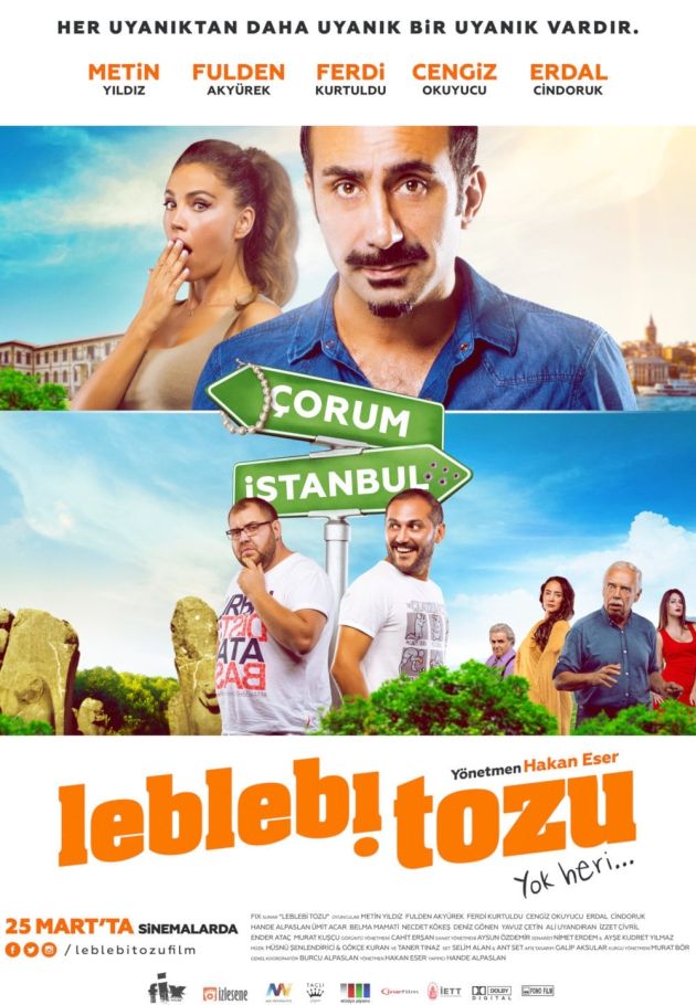 Leblebi Tozu