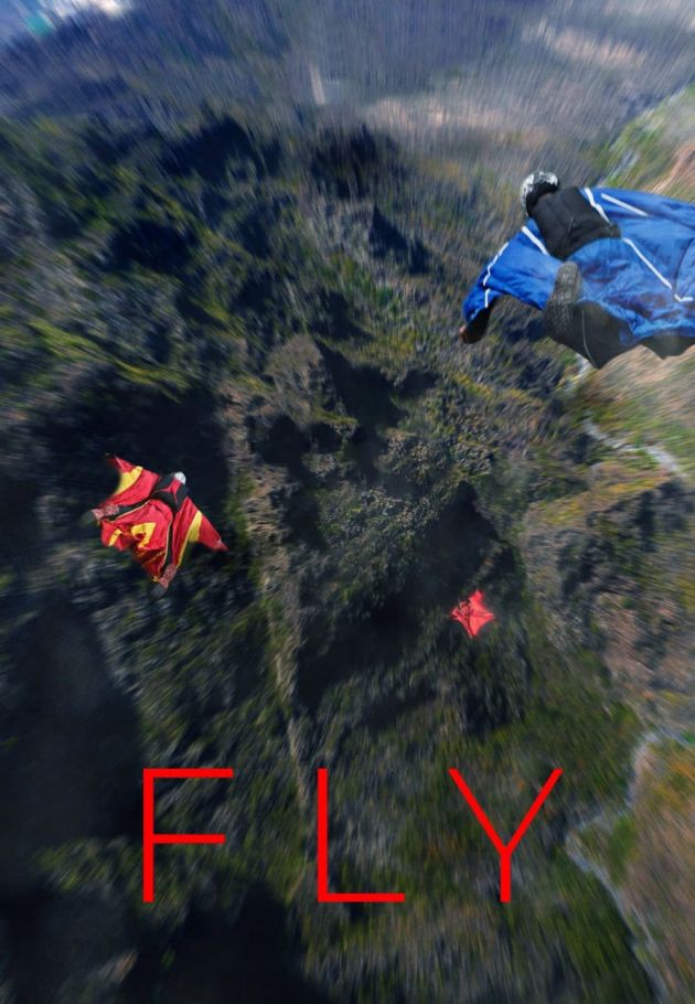 Fly