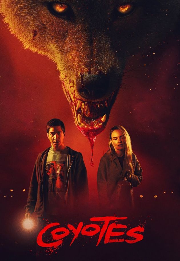 Coyotes