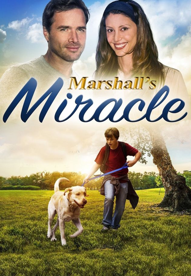 Marshall the Miracle Dog