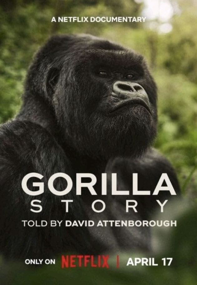A Gorilla Story: Told by David Attenborough