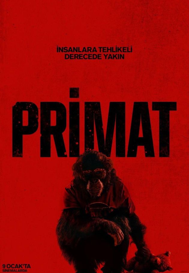 Primate