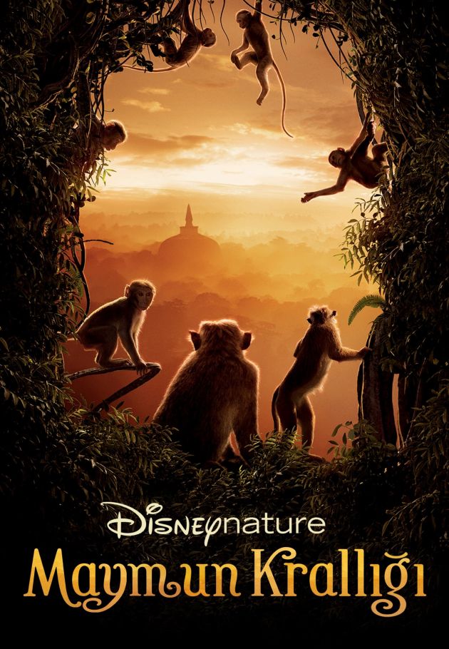 Monkey Kingdom
