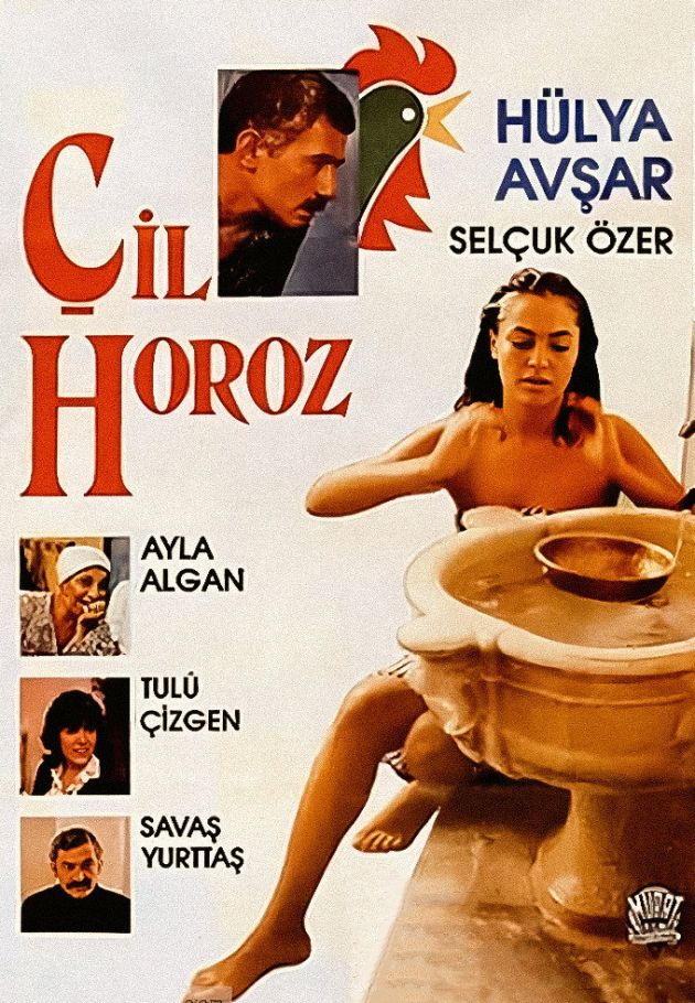 Çil Horoz