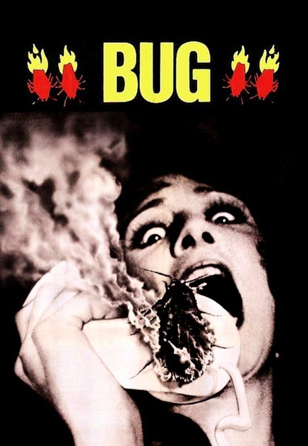 Bug