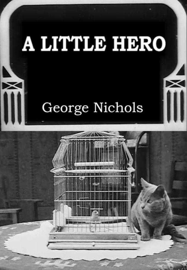 A Little Hero