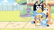 Bluey Fragman