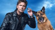 Hudson & Rex | New Drama Series on Citytv