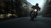 Totenfrau | Offizieller Trailer | Netflix