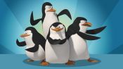 The Penguins of Madagascar (2008-2015) - Saturday Morning Promo