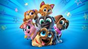 New Series! | Puppy Dog Pals | Disney Junior