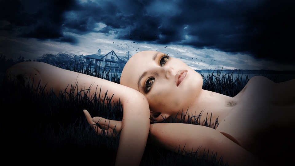 The Fox Hollow Murders
