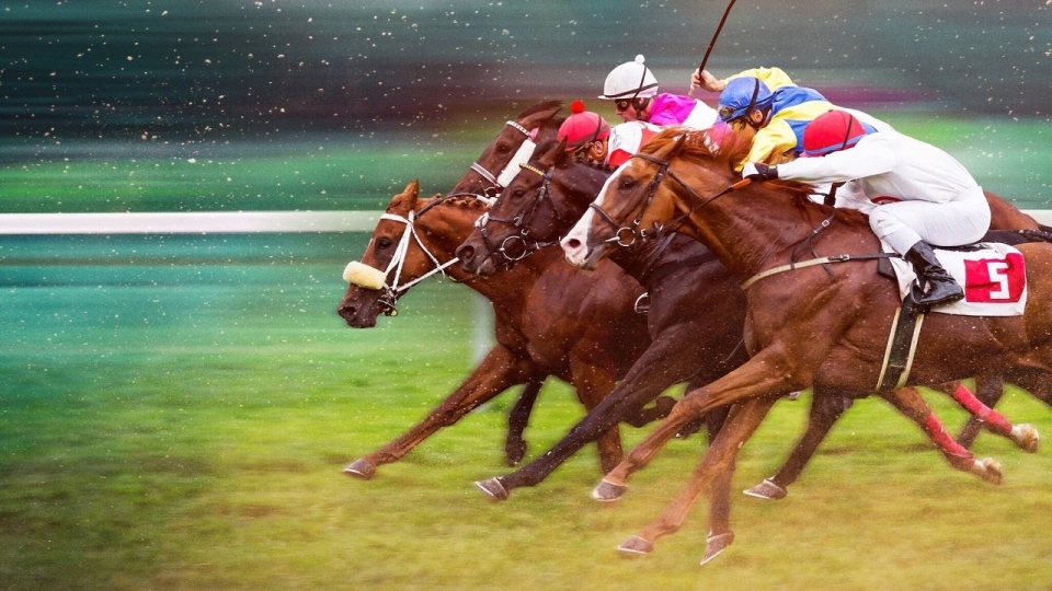 Race for the Crown