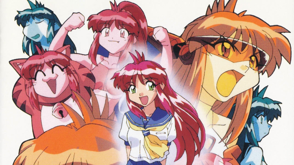 All Purpose Cultural Cat Girl Nuku Nuku TV