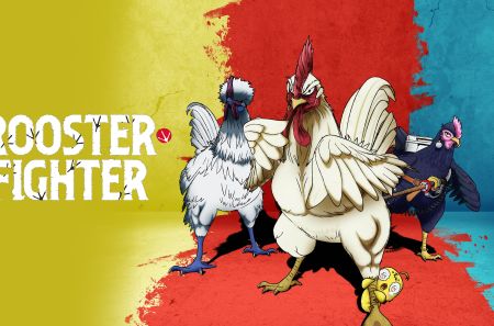 Rooster Fighter