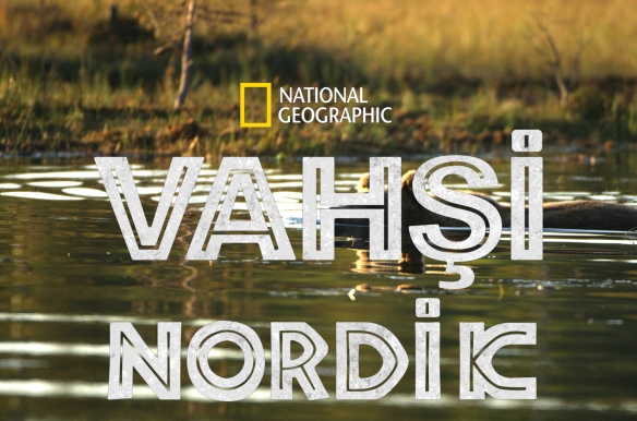 Wild Nordic