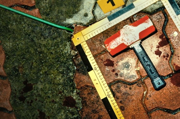 The Raincoat Killer: Chasing a Predator in Korea