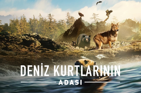 Island of the Sea Wolves