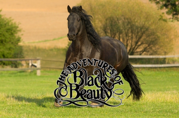 The Adventures of Black Beauty