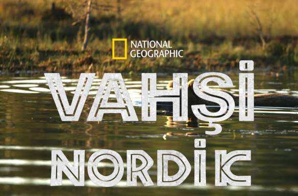 Wild Nordic