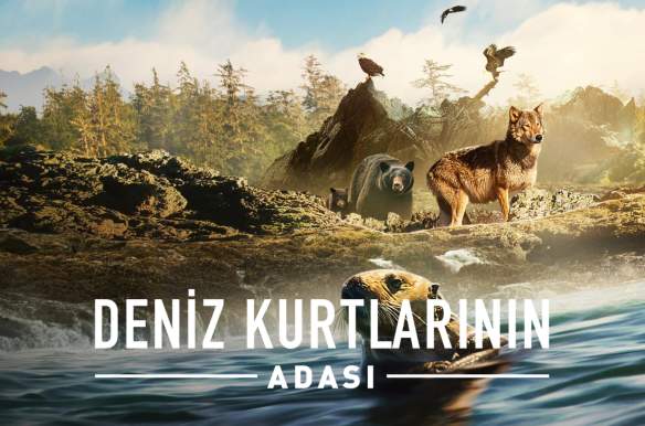 Island of the Sea Wolves